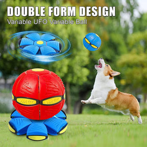 Vigor - Flying Saucer Ball - Outdoor
