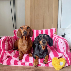 Glow Pups - Dog Bed Sofa Striped Pretty Pink