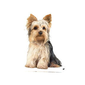 E & S Imports - Vinyl Sticker Dog Breeds