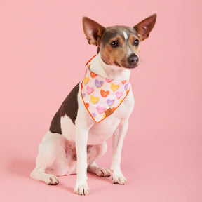 The Foggy Dog - Bandana Dog Candy Hearts