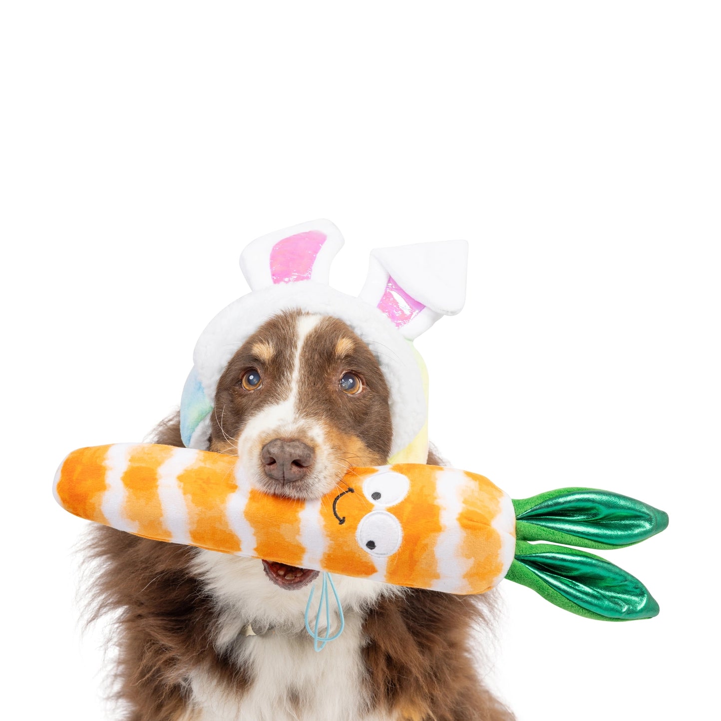 Huxley & Kent - Dog Toy Fetchies Sweet Carrot