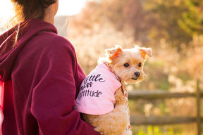 Parisian Pet - Dog T-Shirt Little Miss Attitude