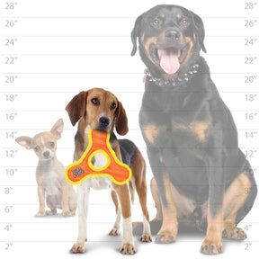 Tuffy Dog Toys - DuraForce JR Triangle Ring Durable Squeak Toy