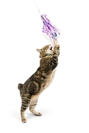 Huxley & Kent - Dragonfly Streamers Refill Cat Toy (2 piece)