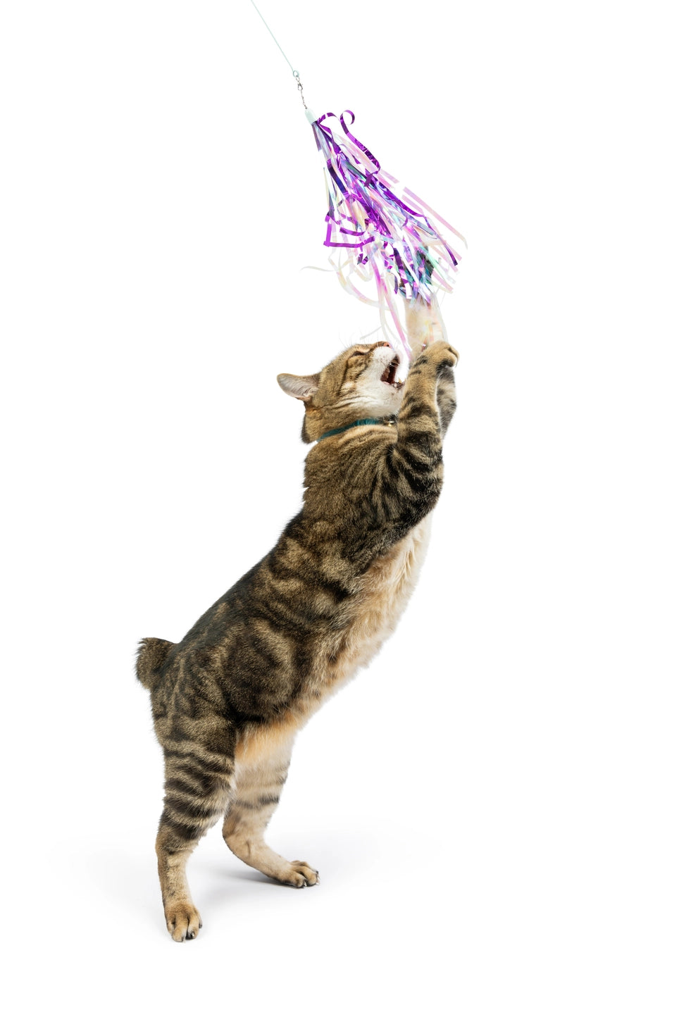 Huxley & Kent - Dragonfly Streamers Refill Cat Toy (2 piece)