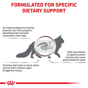 Royal Canin Veterinary Diet - Gastrointestinal Hydrolyzed Protein Cat Food - Southern Agriculture 