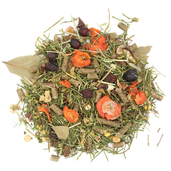 Sunseed - Sun Salad Guinea Pig Foraging Treat