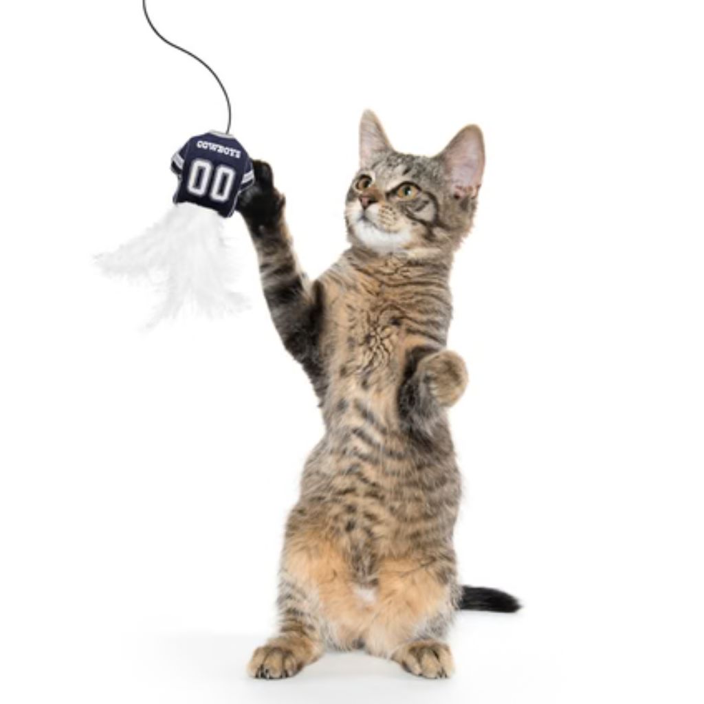 Pets First, Inc. - Dallas Cowboy Cat Wand