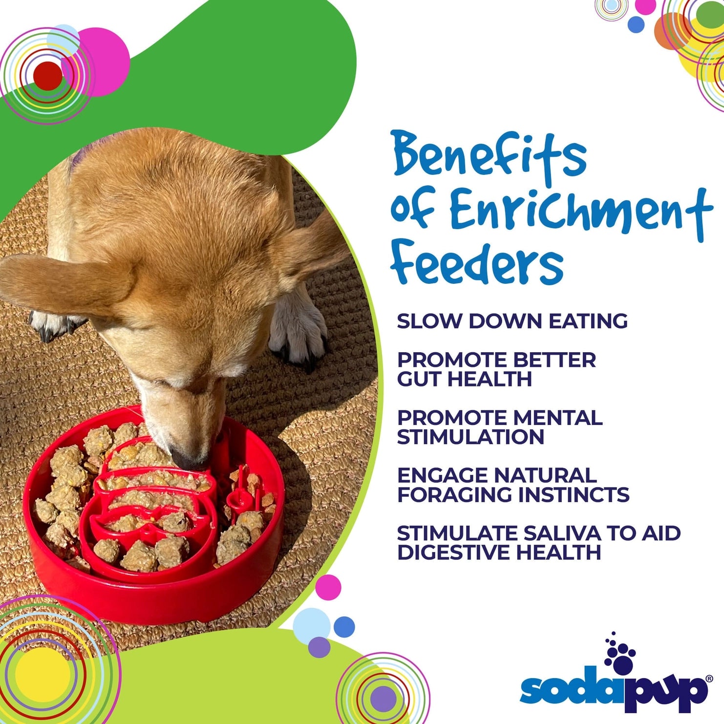 SodaPup - eBowl Enrichment Slow Feeder Santa Design