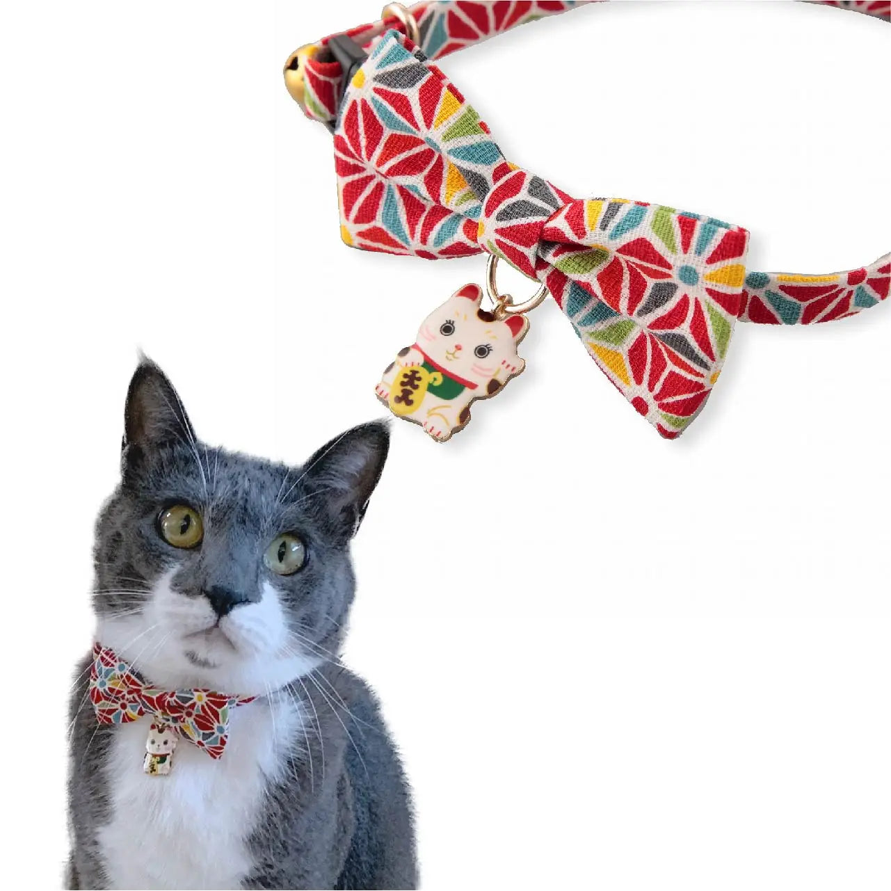 Moon-X USA - Cat Collar Lucky Charm Bowtie