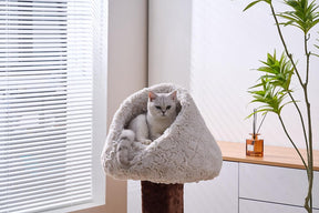 PetPals - Cat Bed Rose Cradle Plush