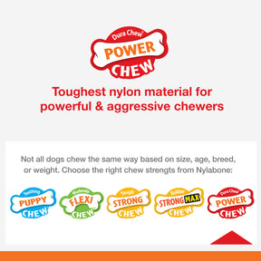 Nylabone - Dura Chew Giant Barbell Peanut Butter Flavor