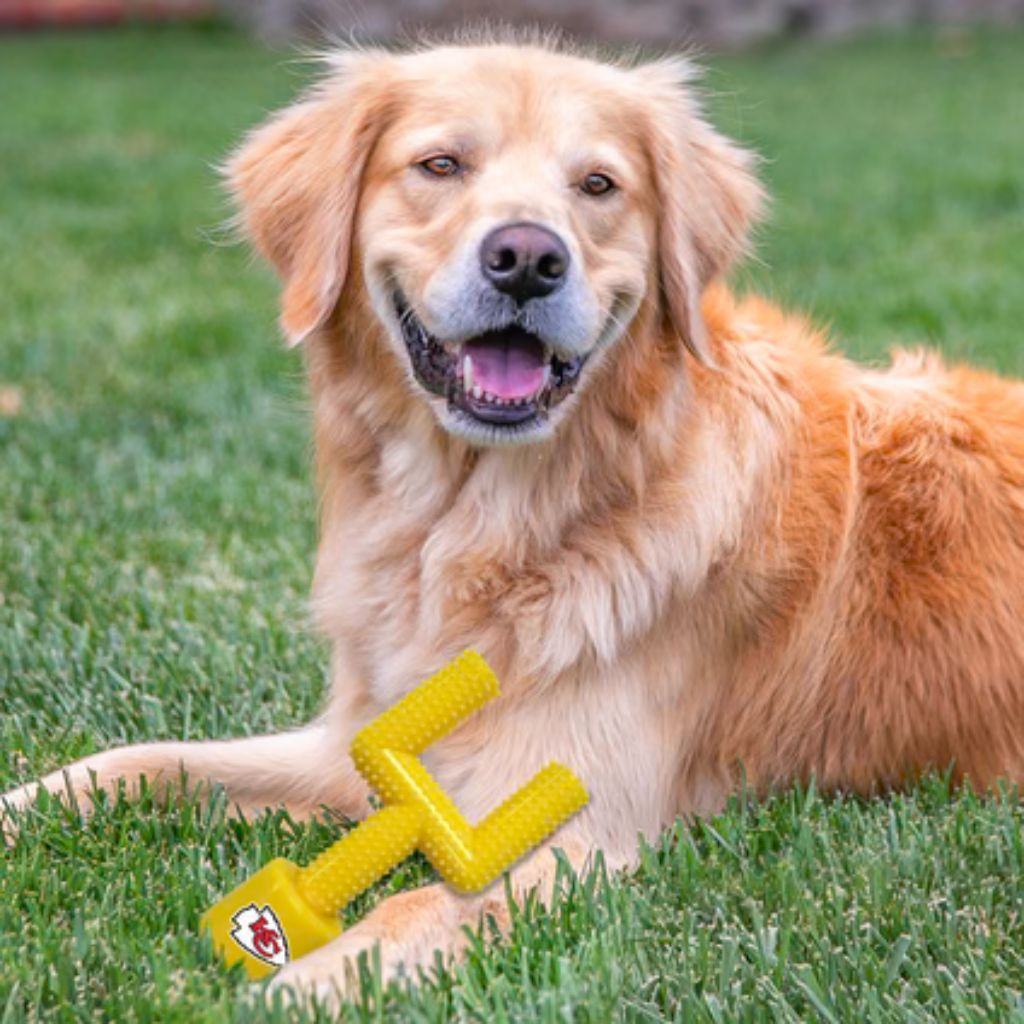 Pets First, Inc. - Kansas City Chiefs Goal Post