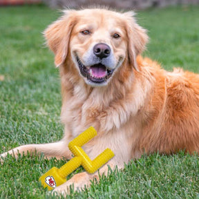 Pets First, Inc. - Kansas City Chiefs Goal Post