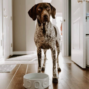 Park Life Design - Classic Grey "Dog" Bowl