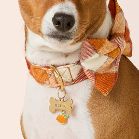 The Foggy Dog - Dog Charm Two Sided For Collar Pumpkin