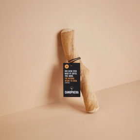 Canophera - Chew Stick Made From Coffee Tree Wood