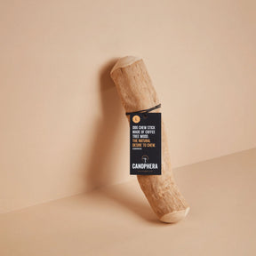 Canophera - Chew Stick Made From Coffee Tree Wood