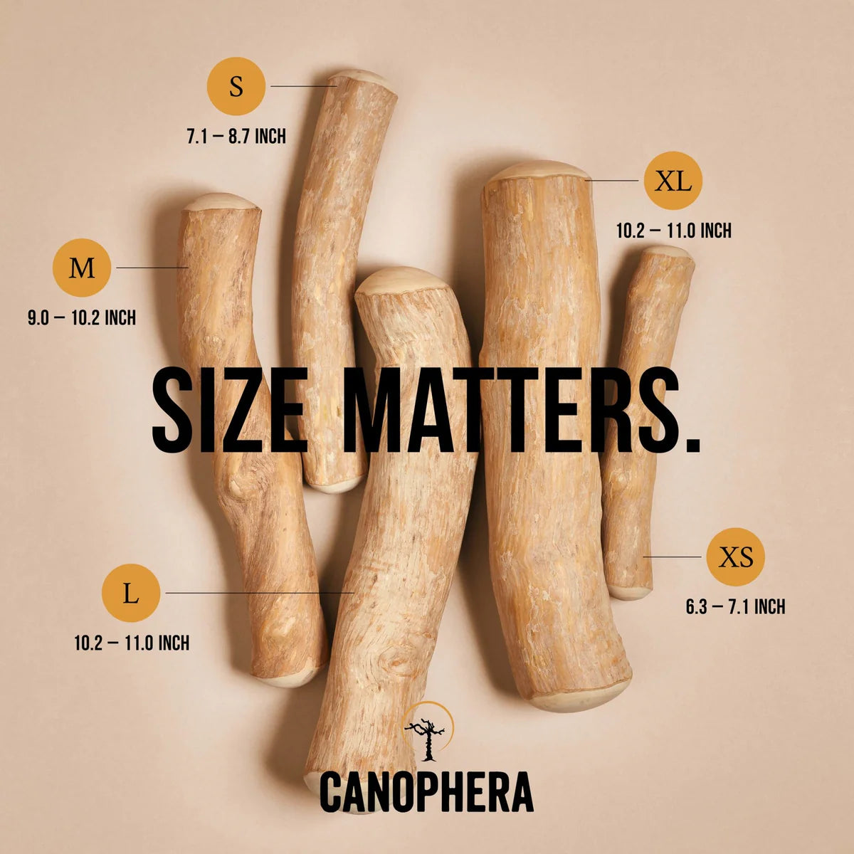 Canophera - Chew Stick Made From Coffee Tree Wood
