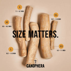Canophera - Chew Stick Made From Coffee Tree Wood