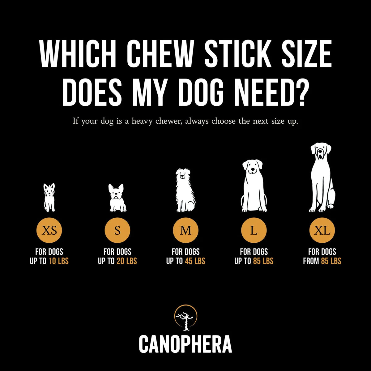 Canophera - Chew Stick Made From Coffee Tree Wood