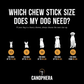 Canophera - Chew Stick Made From Coffee Tree Wood