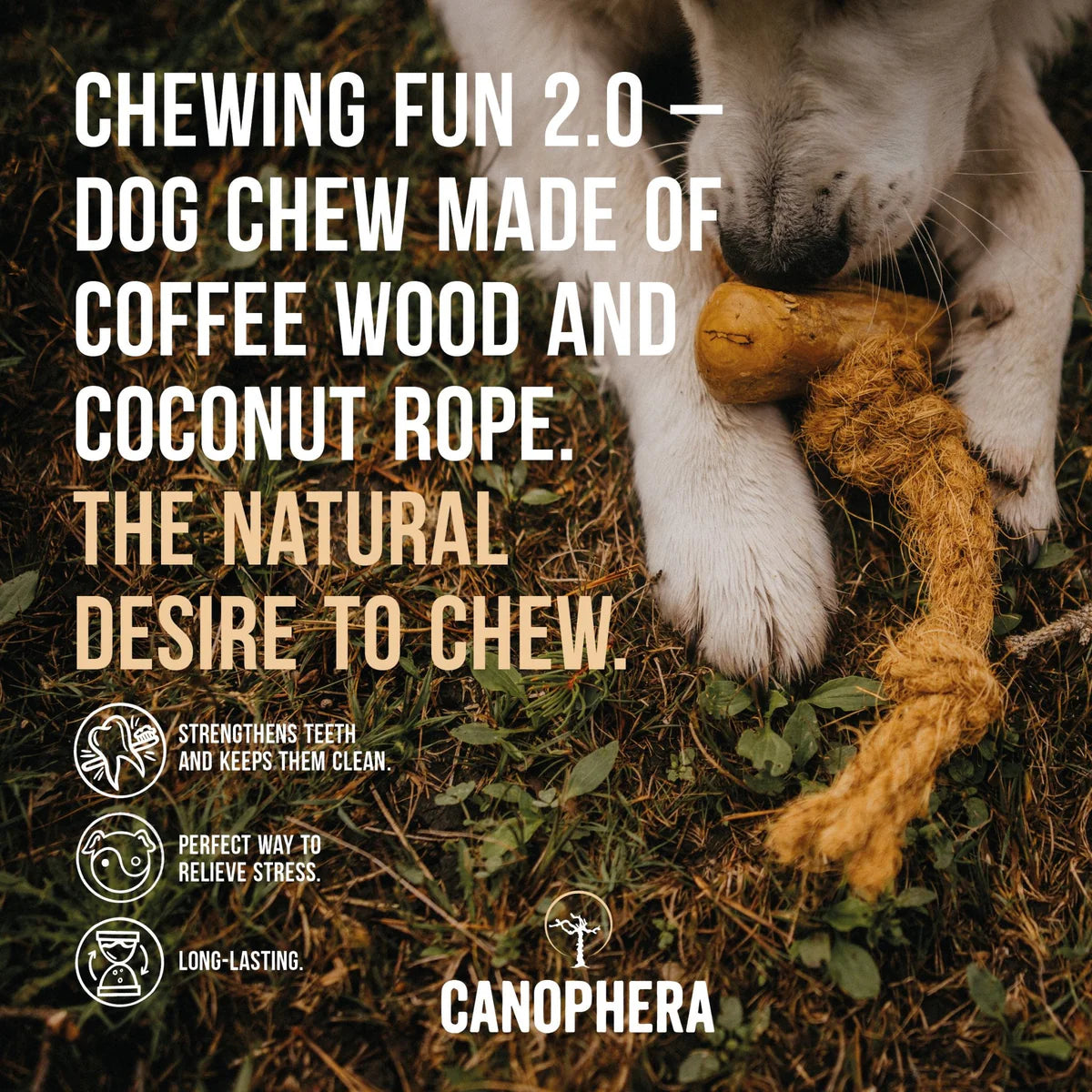 Canophera - Chew Stick Made Of Coffee Wood & Coconut Rope