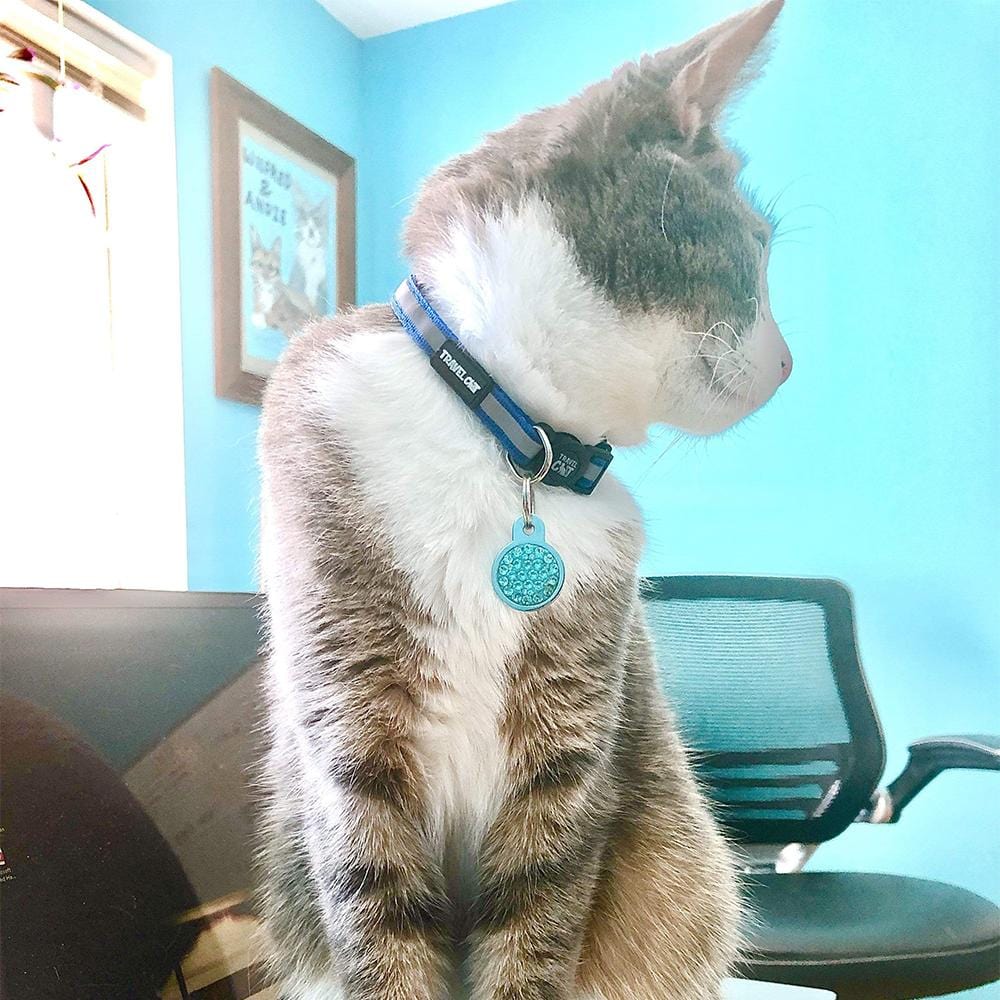 Travel Cat - Breakaway Cat Collar