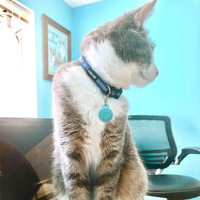 Travel Cat - Breakaway Cat Collar