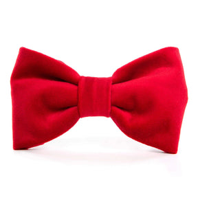 The Foggy Dog - Dog Bow Tie Cranberry Velvet