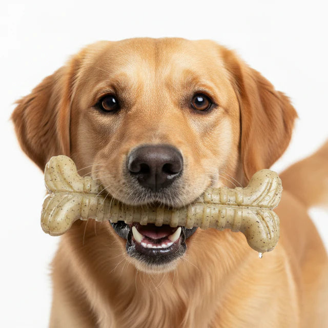 SodaPup - Toughbone Chew Bone