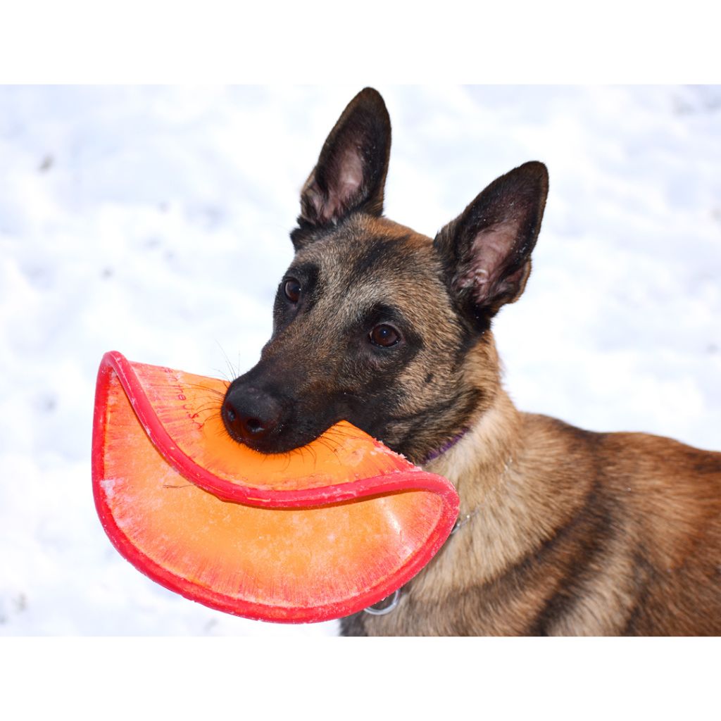 RuffDawg - K9 Flyer Dog Toy - Southern Agriculture 