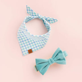 The Foggy Dog - Dog Bow Tie Robin's Egg Velvet