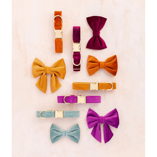 The Foggy Dog - Dog Collar Honey Velvet