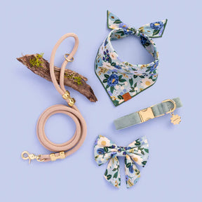 The Foggy Dog - Dog Collar Sage Velvet