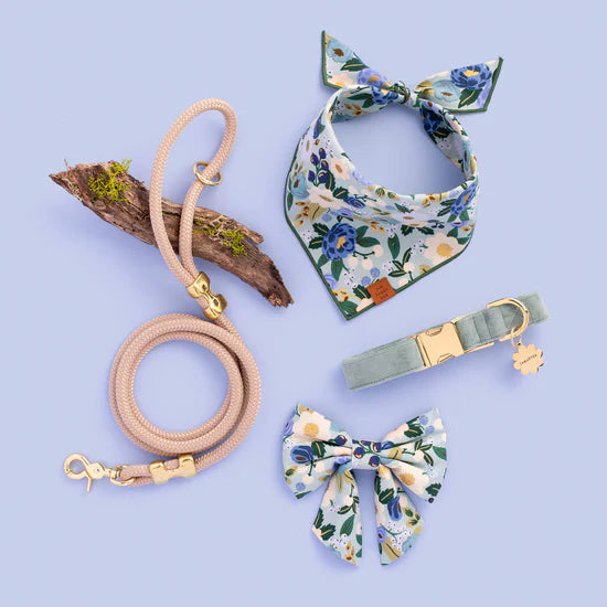 The Foggy Dog - Dog Collar Sage Velvet