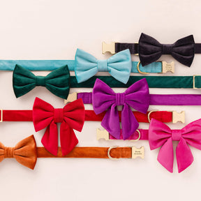 The Foggy Dog - Dog Bow Tie Velvet