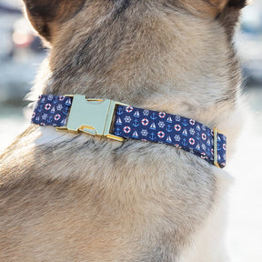 The Foggy Dog - Dog Collar Sail Away