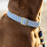 The Foggy Dog - Dog Collar Liberty (4th of July)