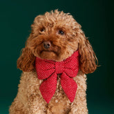 The Foggy Dog - Dog Bow Berry Stitch Flannel