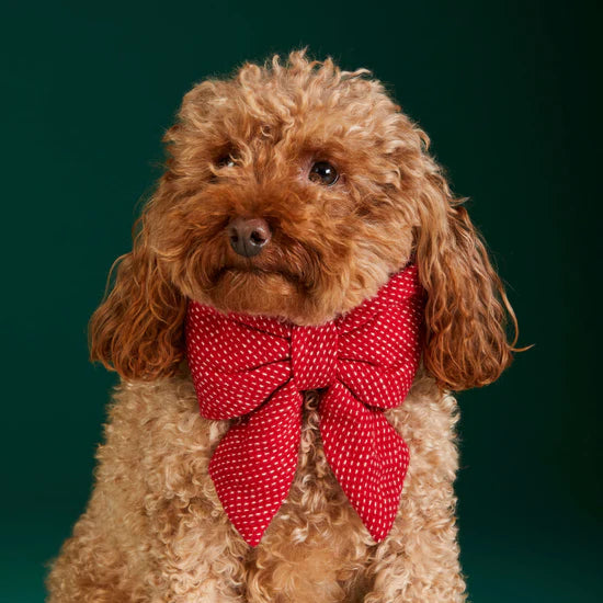The Foggy Dog - Dog Bow Berry Stitch Flannel