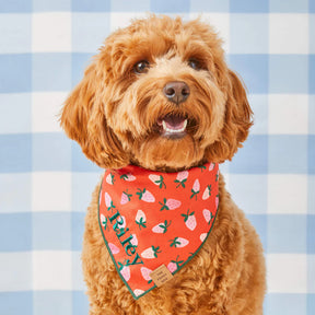 Foggy Dog - Bandana Dog Rifle Paper Co. x TFD Vintage Blossom