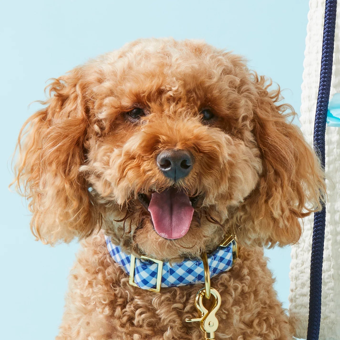 The Foggy Dog - Dog Collar Gingham Summer Blue
