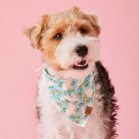 Foggy Dog - Bandana Dog Bunny Garden