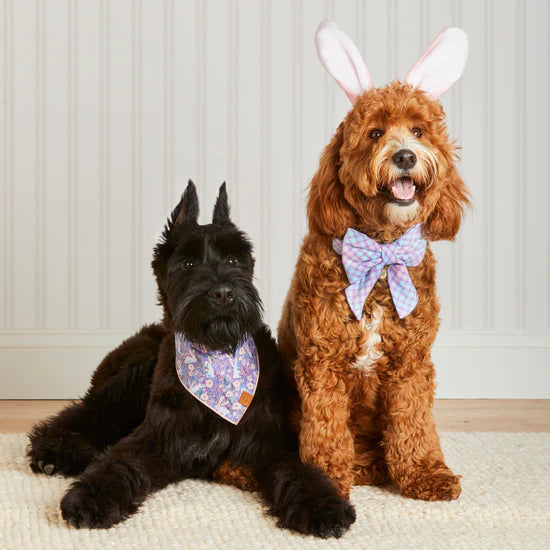 The Foggy Dog - Bandana Dog Bunny Meadow - Southern Agriculture 