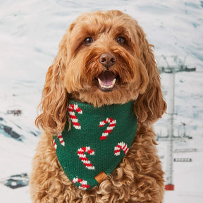 The Foggy Dog - Dog Bandana Candy Cane Knit