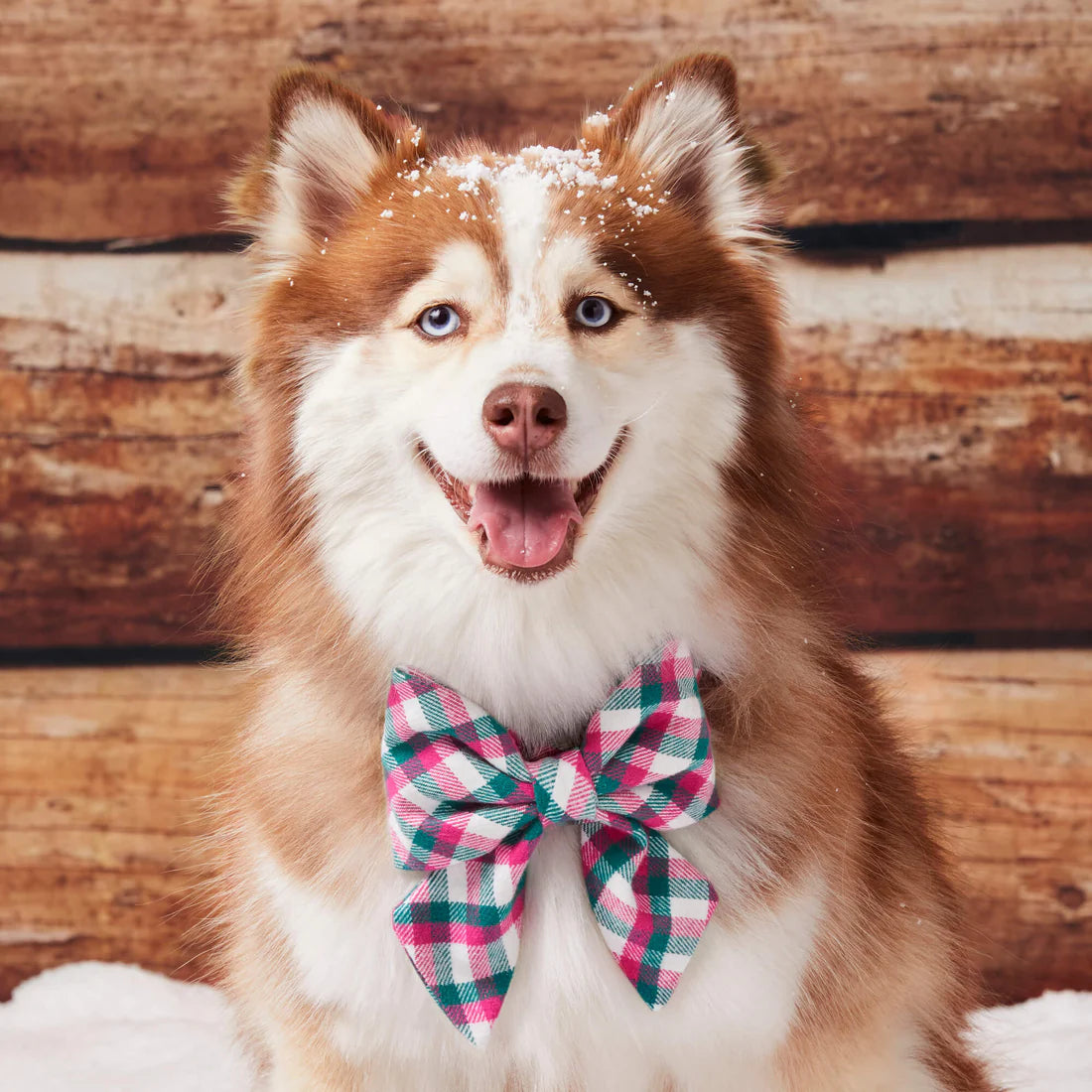 The Foggy Dog - Lady Dog Bow Callie Plaid Flannel