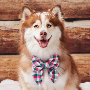 The Foggy Dog - Lady Dog Bow Callie Plaid Flannel