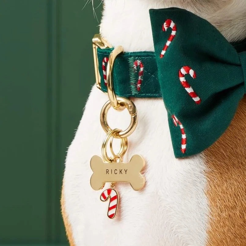 The Foggy Dog - Collar Charm Candy Cane