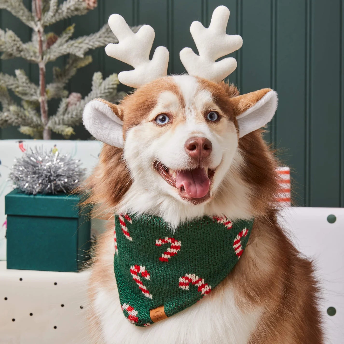 The Foggy Dog - Dog Bandana Candy Cane Knit